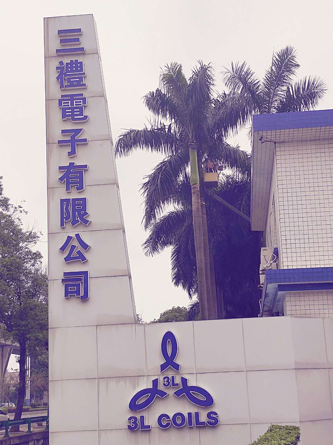 中山三禮電器綠化案例 中山三禮電器綠化案例